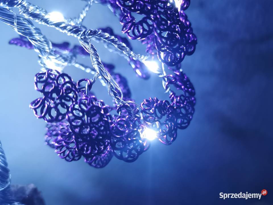 Fioletowe bonsai Doskonały prezent na święta 35 odcienie fioletowego Bolesławiec