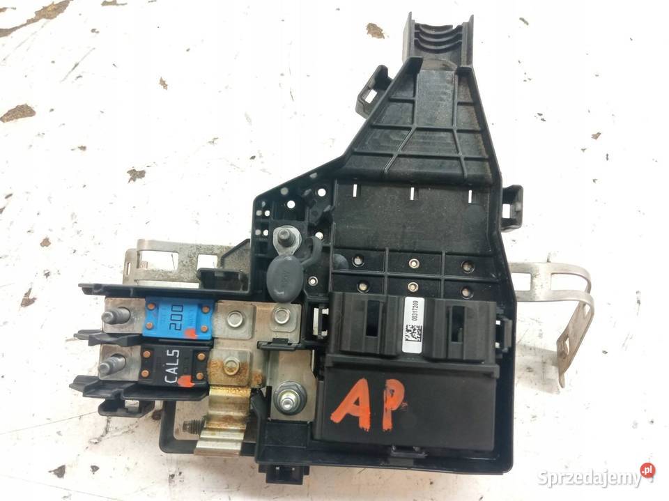 KLEMA PLUS AKUMULATORA BEZPIECZNIK 241148233R