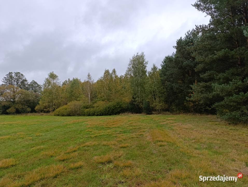 Działka budowlana pod osiedle 29400m2 Piaski gm