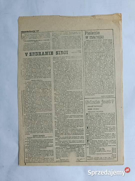 Niezależność Informator NSZZ Solidarność reg pomorskie