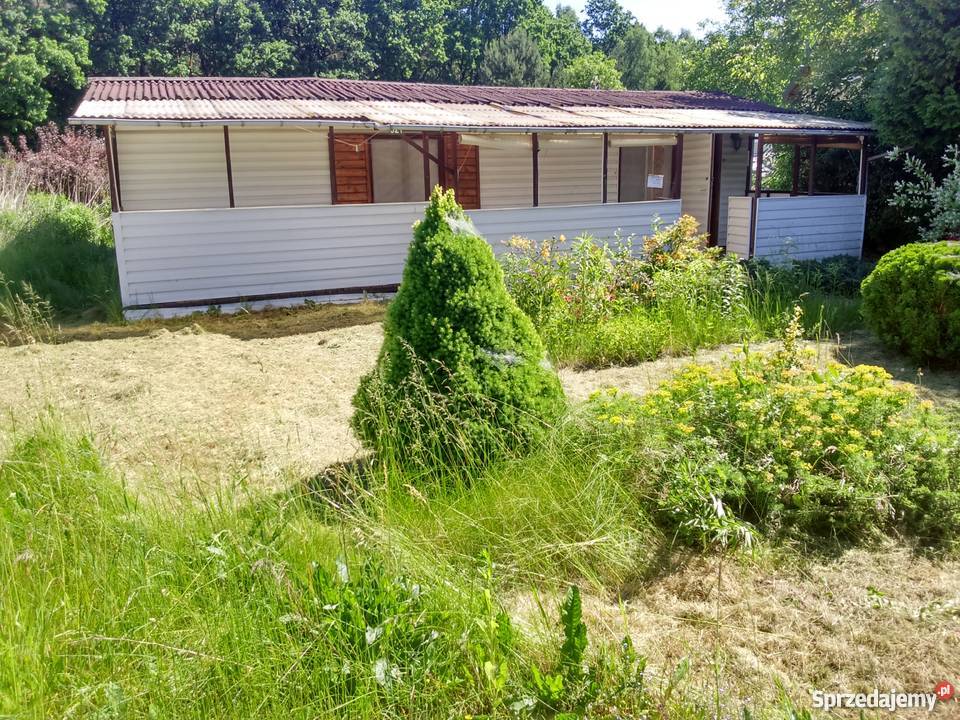 sprzedam działkę ROD Szczaki