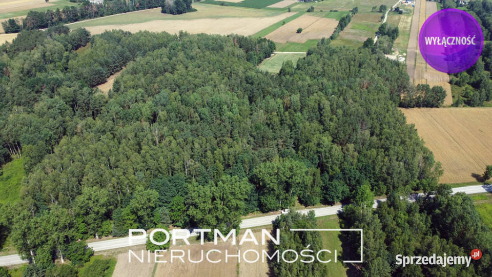 Działka w Dobrzyńcu 15 200 m2 Dobrzyniec