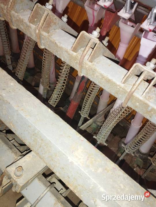 Siewnik mazowieckie Sienno