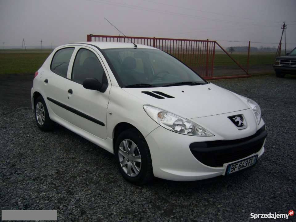 Peugeot 206 bialy wielkopolskie