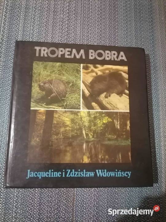 Tropem Bobra Wałbrzych
