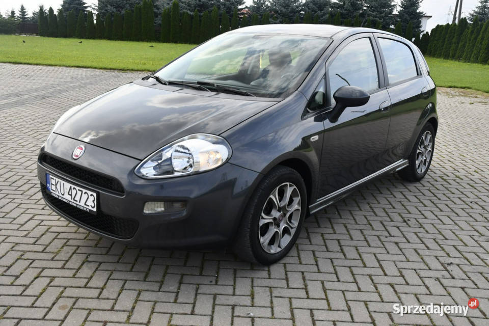 Fiat Punto Evo 13jtd DUDKI11 immobilizer Kutno sprzedam