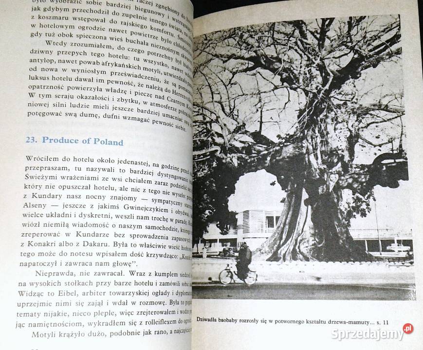 Nowa przygoda Gwinea Arkady Fiedler Chełm