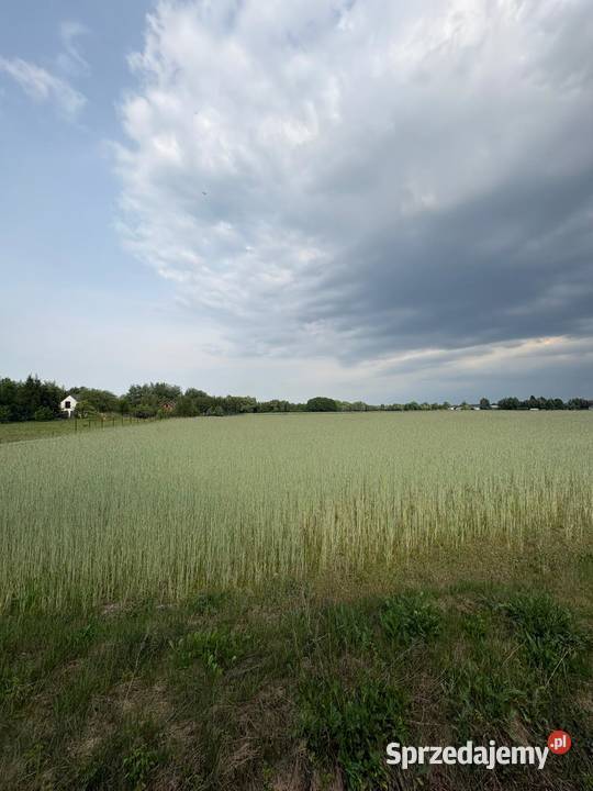 Działka budowlana WZ mKownay gmPłońsk szybki