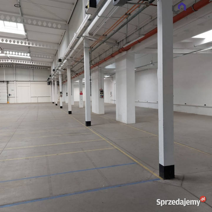 wynajmu lokalu 1242m2 Katowice śląskie