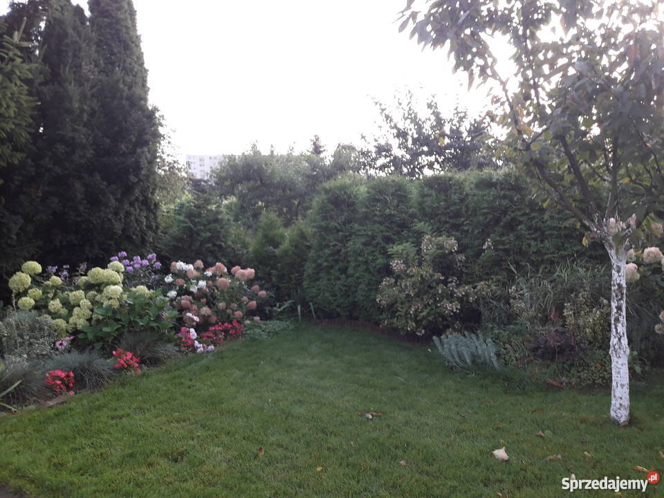 działka ROD Rubinkowo Niesiołowskiego Toruń