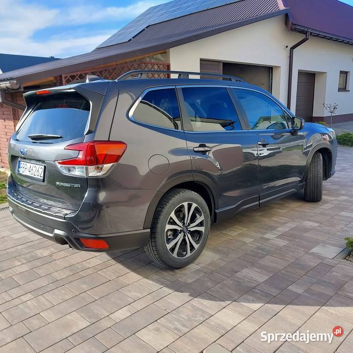 subaru forester Wzdów
