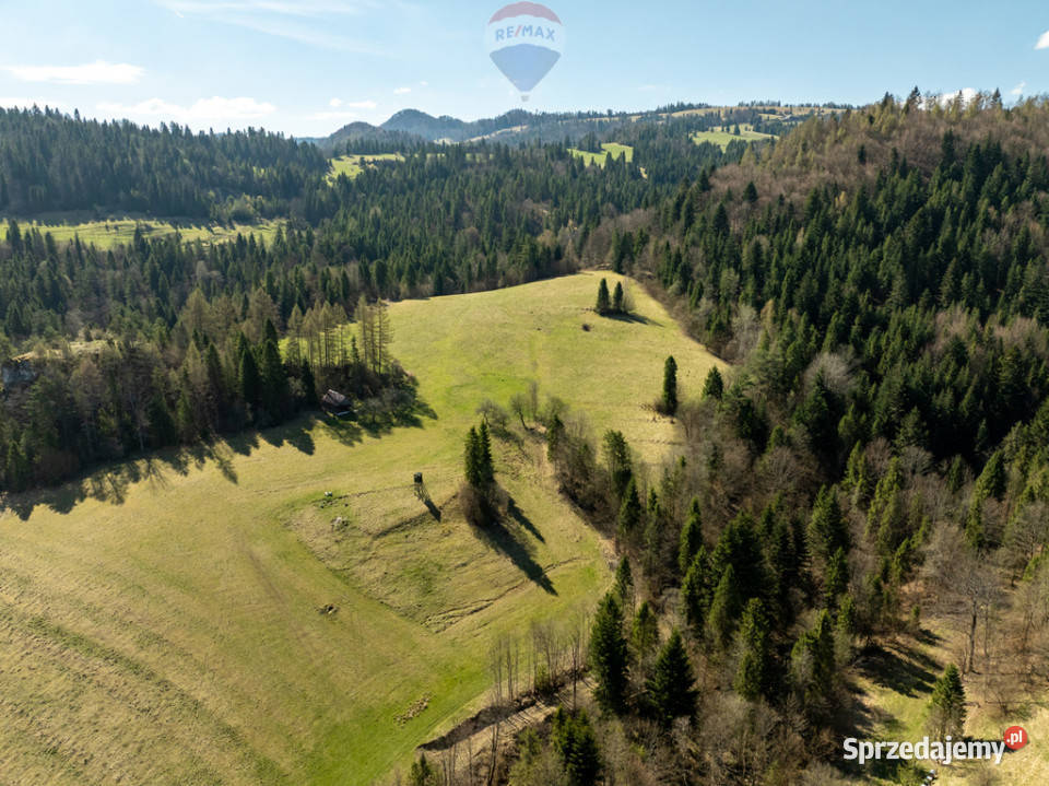Działka widokowa Szlachtowa ok 4395 m 55m Sprzedaż
