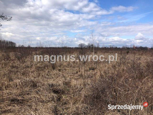 Na sprzedaż działka usługowa tuż lotnisku Wrocław sprzedam