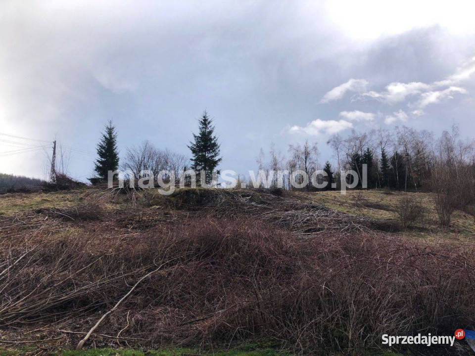 Działka budowlana z pięknym widokiem 140zł/m2 Łomnica