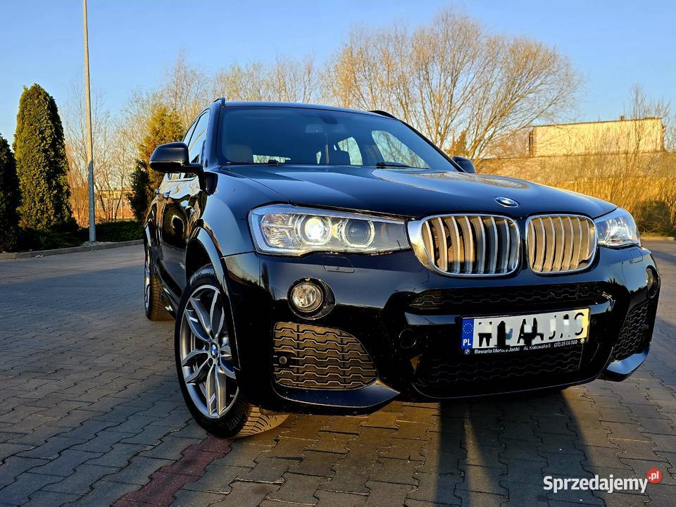 BMW X3 polski salon mały przebieg Strzyboga