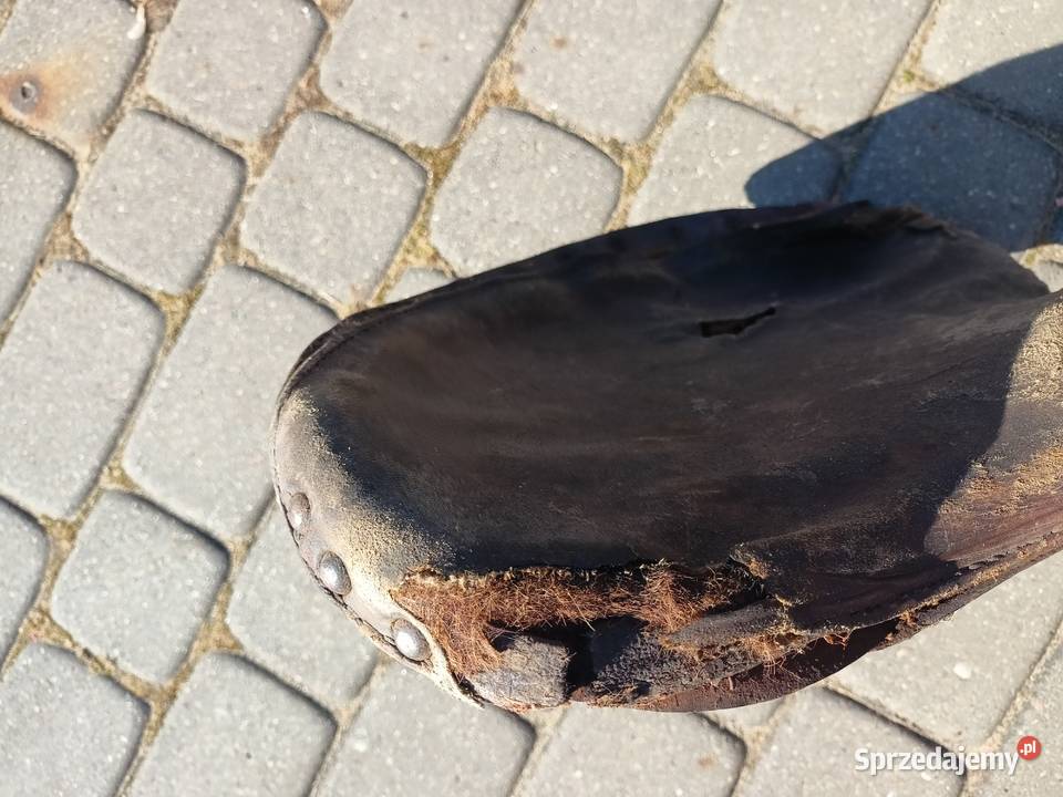 Harley WLA Bydgoszcz