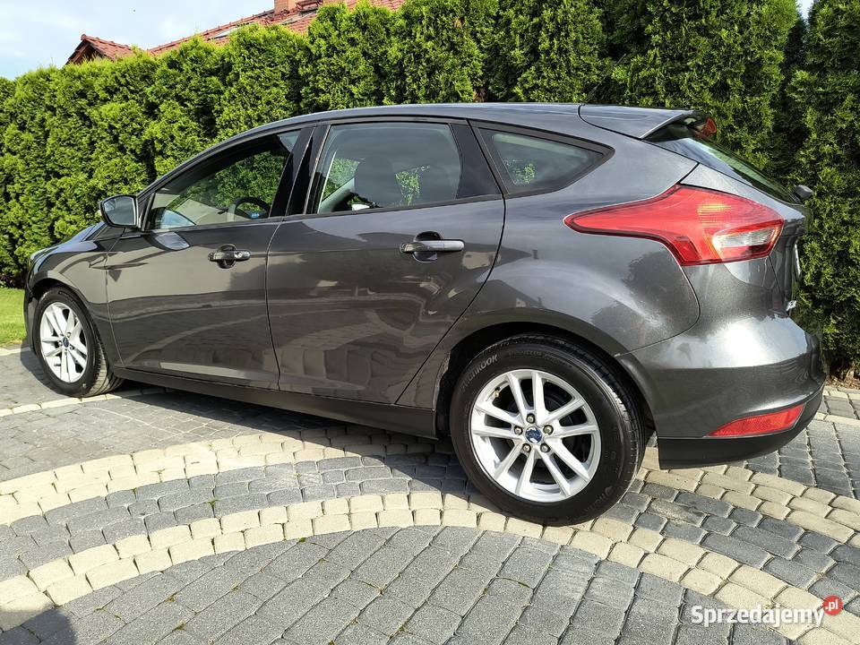 Ford Focus 2016r 20 Benzyna Automat Sulechów sprzedam