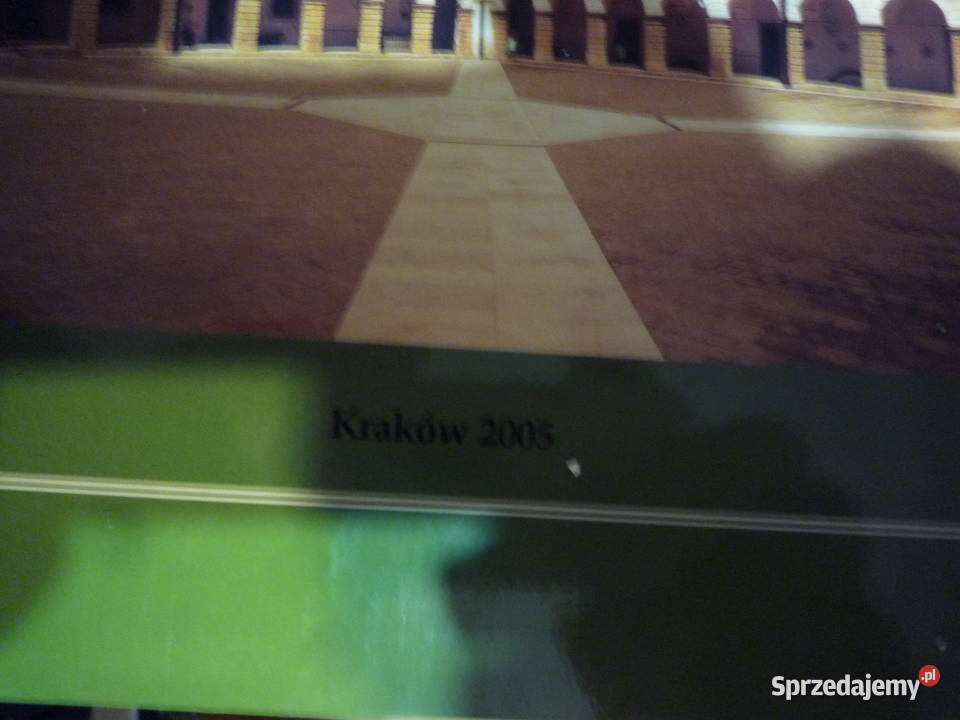 niepołomice w historii i tradycji polskiego Lutowiska sprzedam