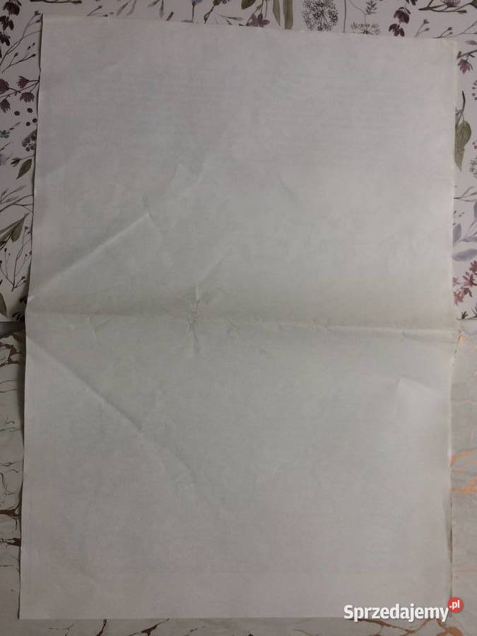 3836 Ksero Niemieckiej Mapy Gryfic Antykwariat zachodniopomorskie