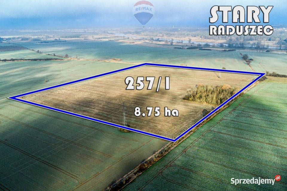 Na sprzedaż grunty orne RIIIa 875 ha Stary Raduszec