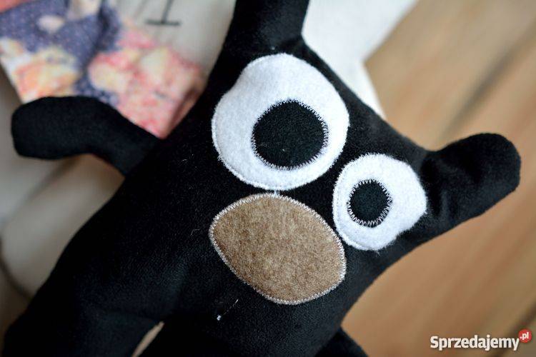 Śmieszne Misie śląskie Częstochowa