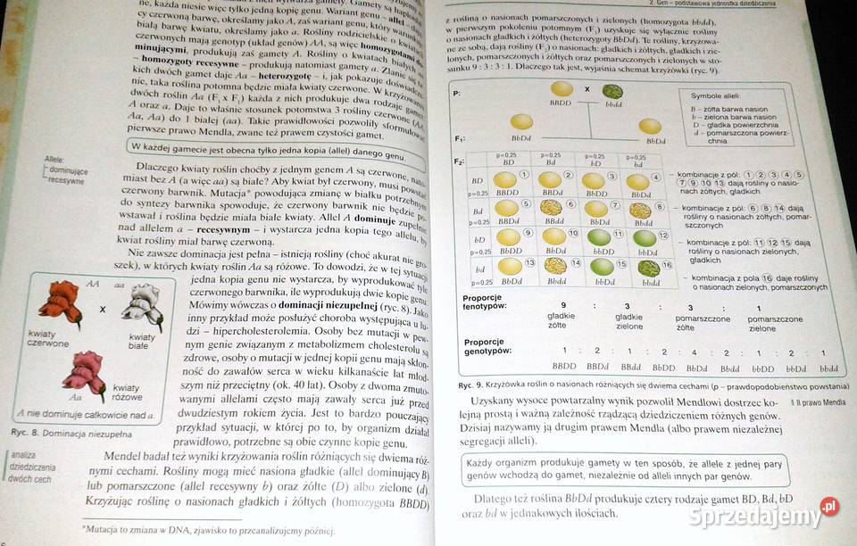 Biologia 2 Podręcznik Jacek Balerstet Ewa Książki i Podręczniki Chełm