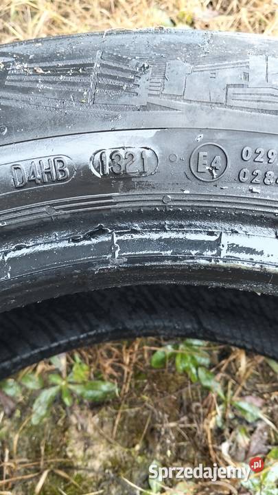 Opony wielosezonowe 1560185 Tarło-Kolonia sprzedam