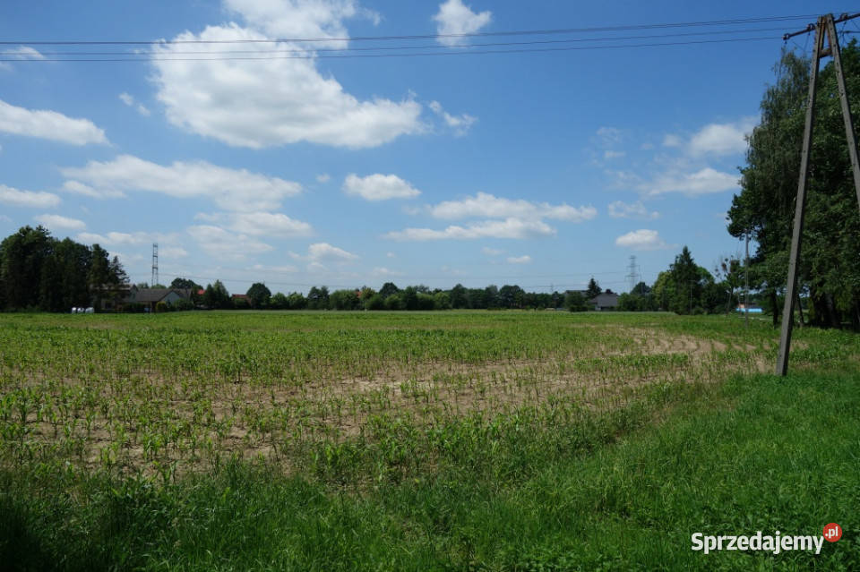 Skoczów Ochaby 32 ha z częścią budowlaną i pod śląskie
