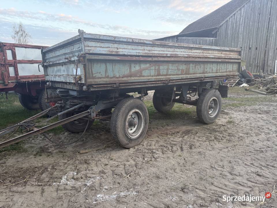 Przyczepa hl6011 zarejestrowana wielkopolskie Wysoka sprzedam