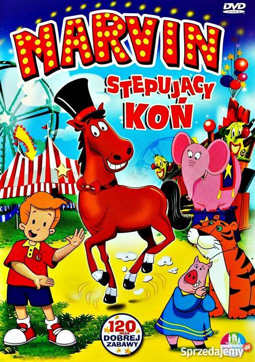 MARVIN STEPUJĄCY KOŃ Kalisz