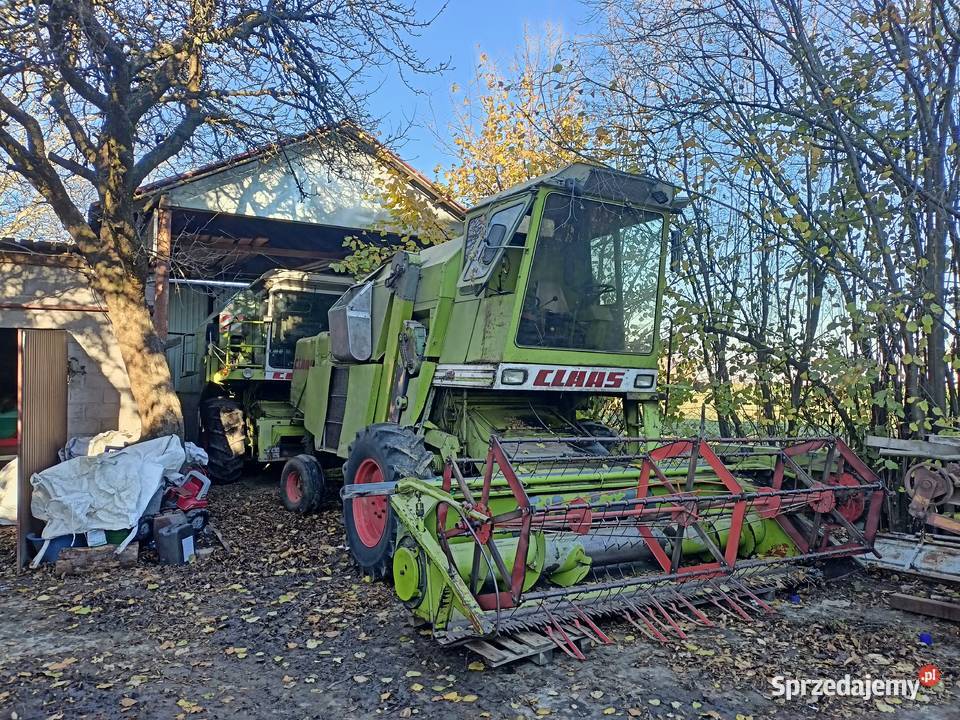 Claas mercator senator 70 Pęchów