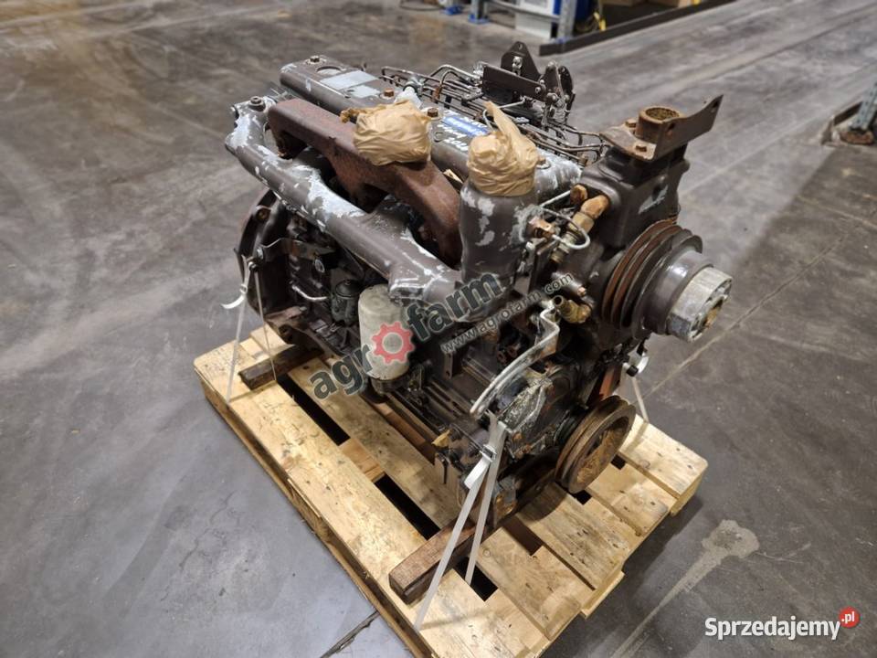 Silnik Massey Ferguson 3080 Perkins A6354 Silnik i osprzęt Byków
