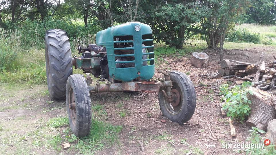 zetor 3011 major Młynary sprzedam