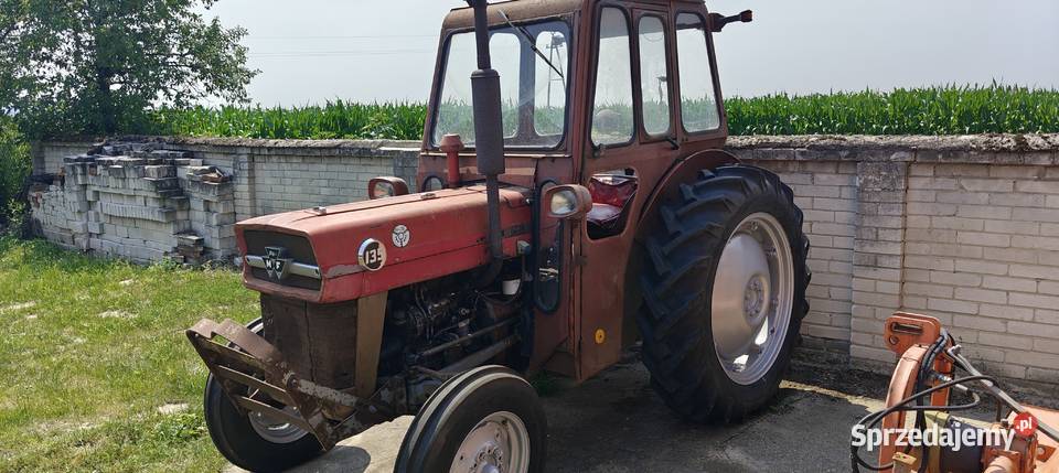 Massey Ferguson 135 Perkins 3p świętokrzyskie Kijany