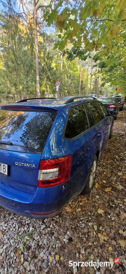 Skoda octavia 2019r I właś salon polska serwis świętokrzyskie Bliżyn