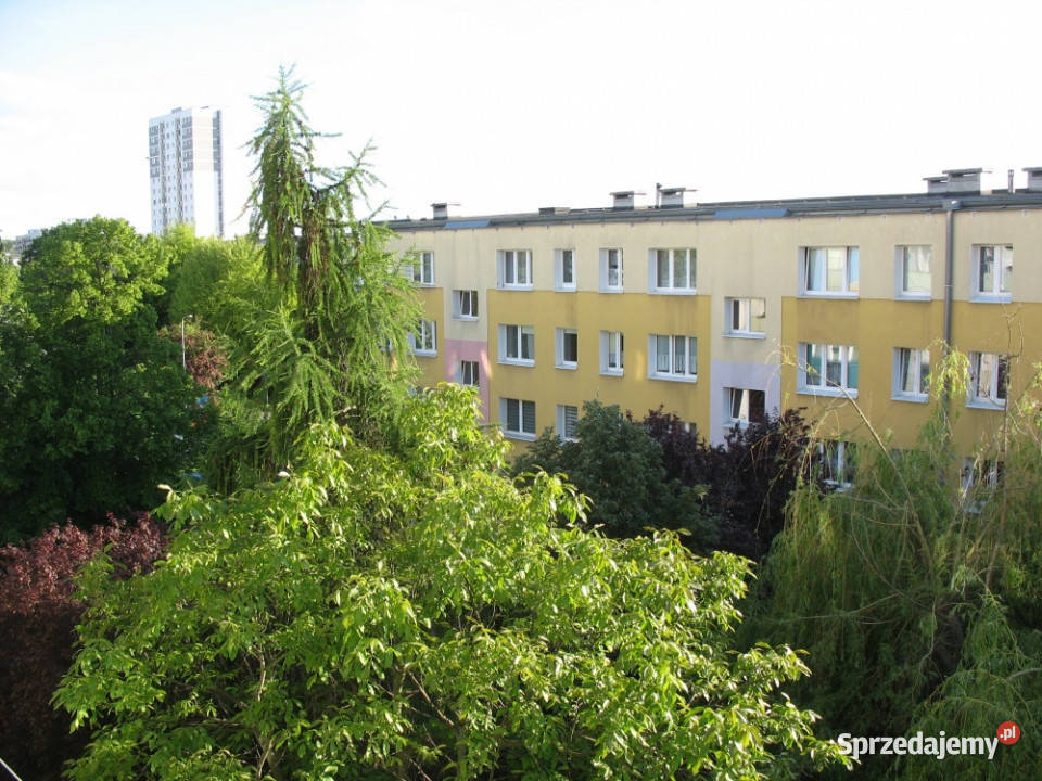 Poznań Rataje Sprzedam mieszkanie 472 m2 3 Sprzedaż