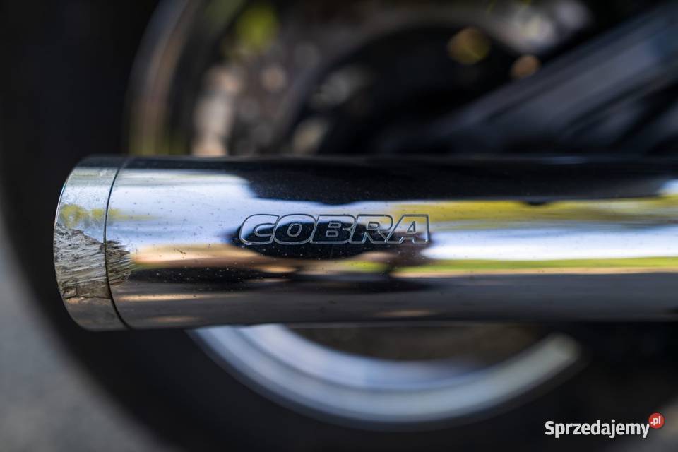 Yamaha Drag Star 1100 Custom wydech cobra biały Susz