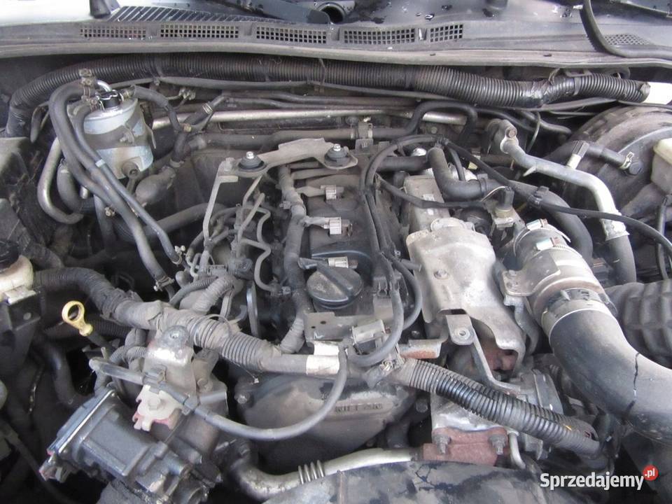 Silnik KOMPLETNY Nissan Navara LIFT D40 25 dci Śmigiel