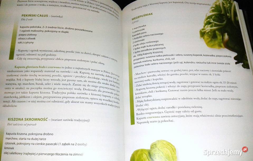 Pokochaj wegetarianizm Elżbieta Kowalewska lubelskie Chełm