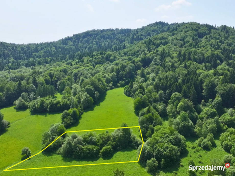 sprzedaży gruntu Baligród 5713m2 podkarpackie