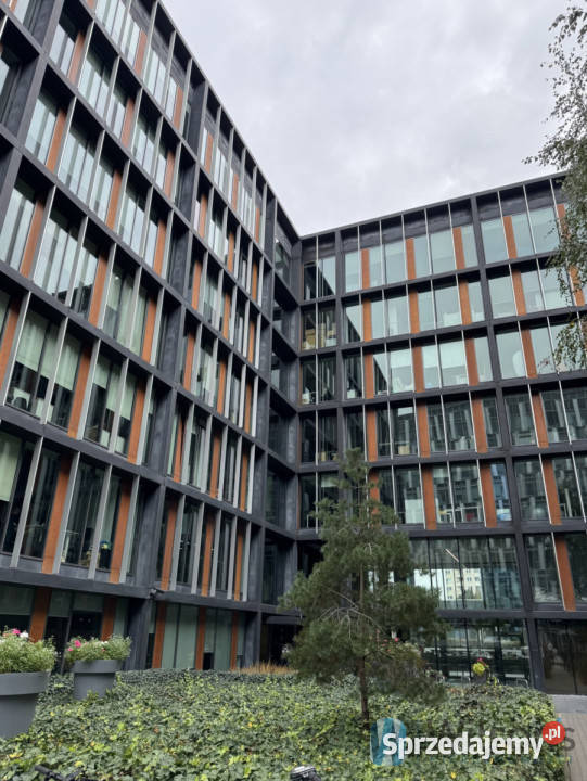 Lokal Warszawa Domaniewska 535m2 mazowieckie