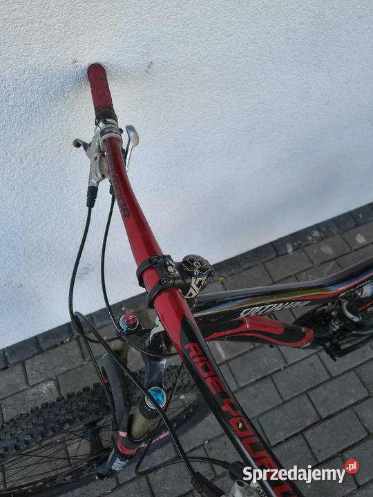 Rower specialized Sokołów Małopolski