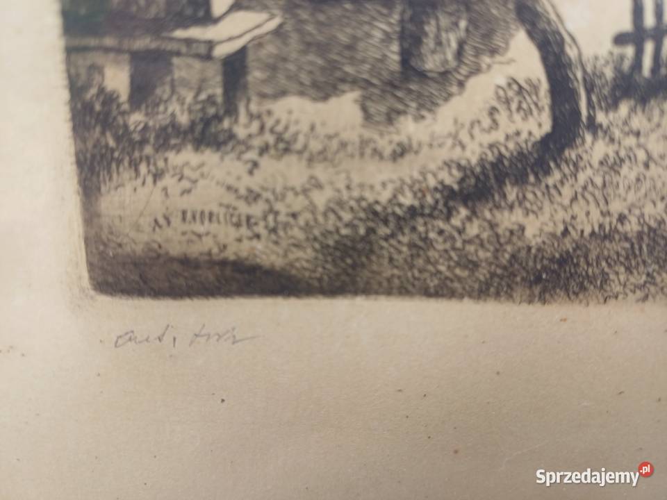 Stara 100 lat grafika sygnowana