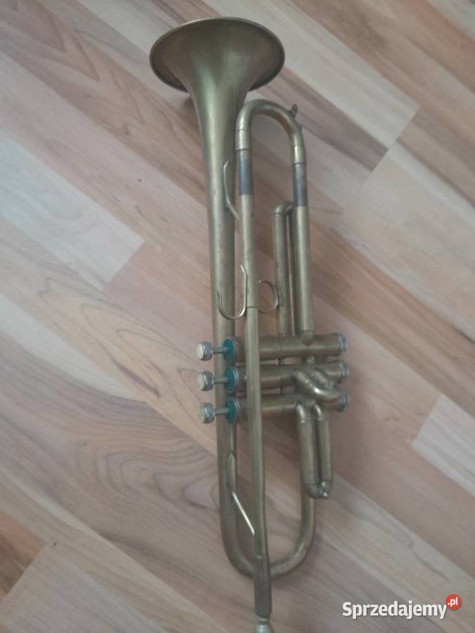 Trąbka Ostrowiec Świętokrzyski