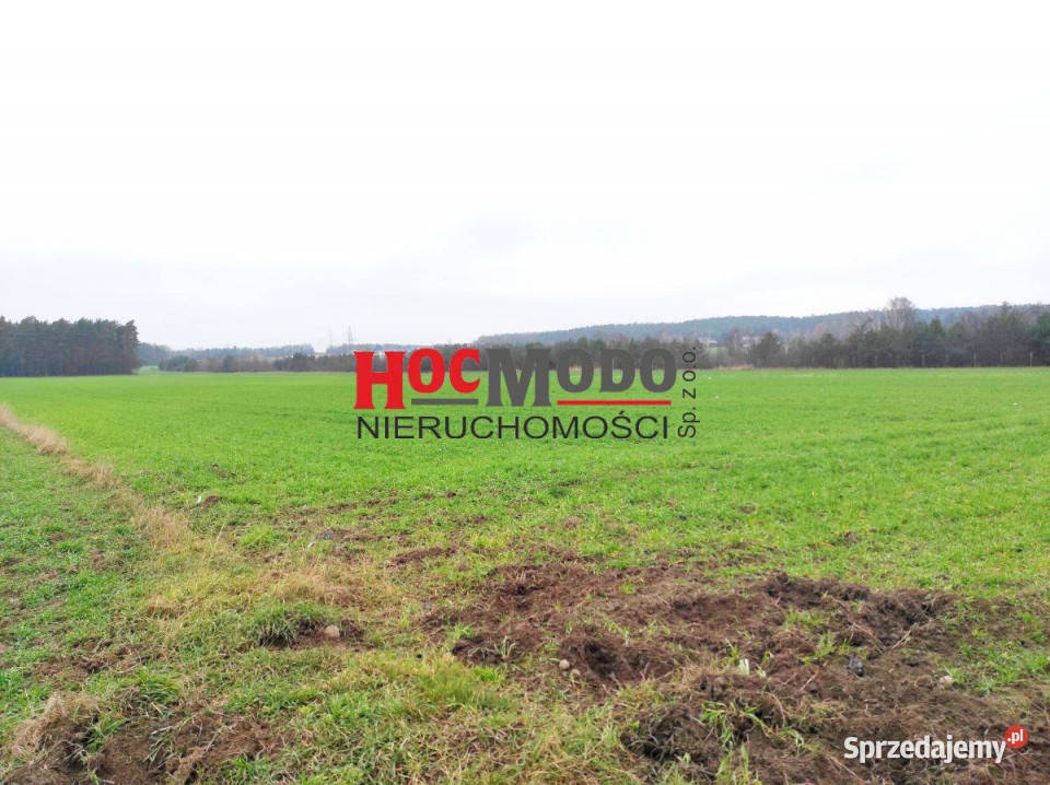 Działka budowlana w Serocku Sprzedaż Serock