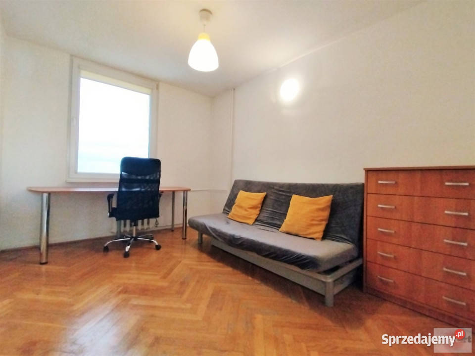 wynajmu mieszkania Łódź Piotrkowska 4471m2 Nieruchomości łódzkie