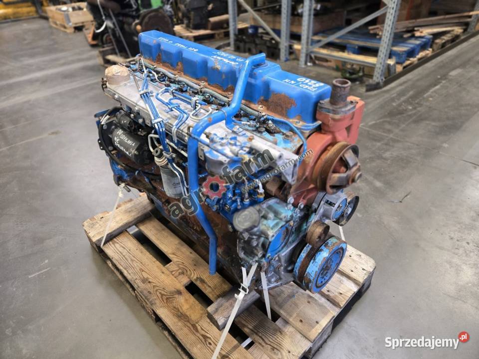 Silnik Ford 8240 Byków