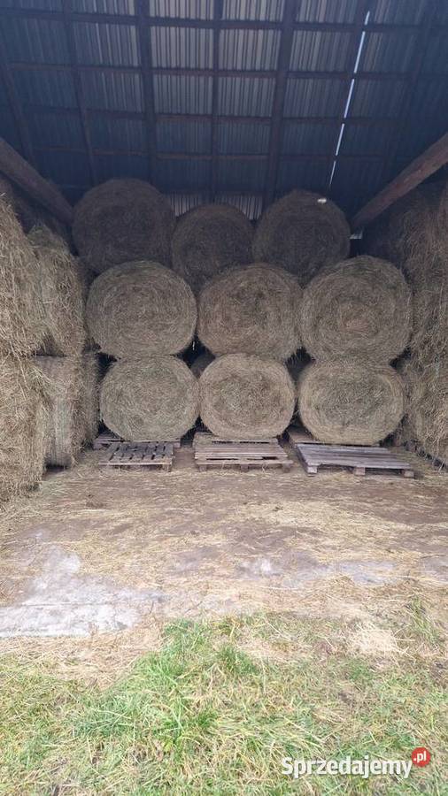 Siano pogodne z sianych łąk Bele 120na135 Ostrów Mazowiecka