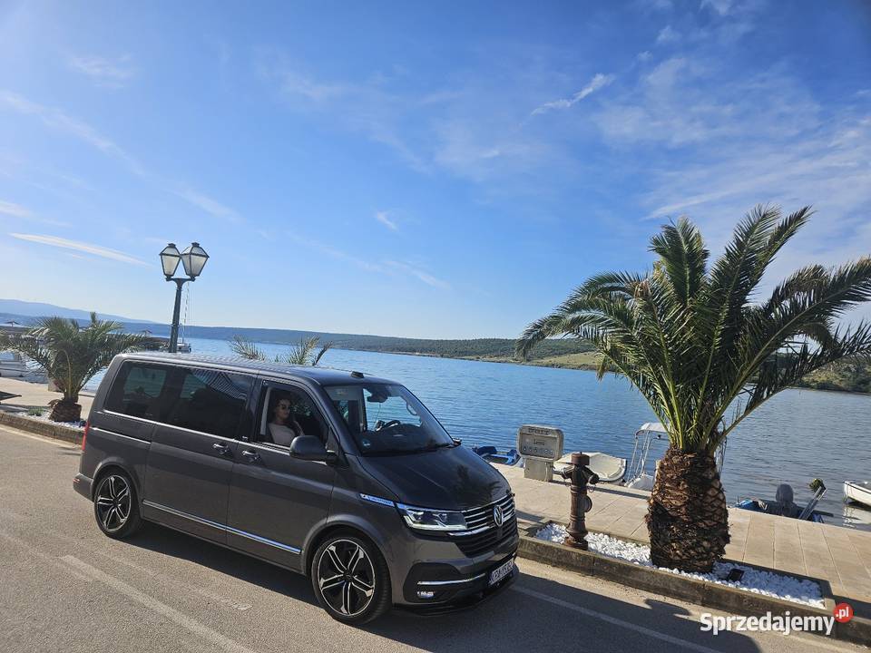 Multivan t61