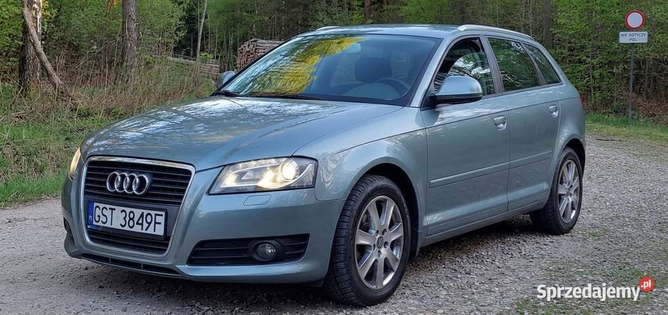 Audi a3 8p 2009r 20 tdi common rail 131 nieuszkodzony Linowiec